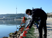 Baku residents bringing flowers to Seaside Boulevard to honor missing oil workers.  Azerbaijan, Dec.07, 2015